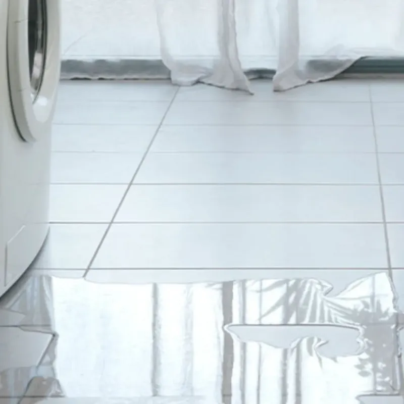 Appliance Leak Cleanup in Wintersville, OH