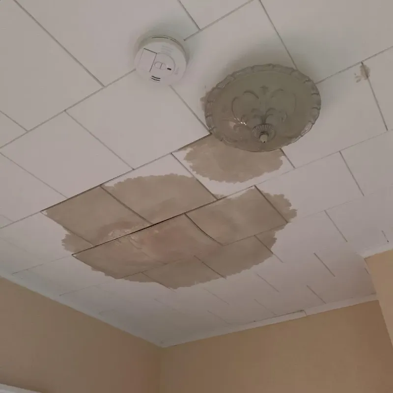 Ceiling Water Damage Repair in Wintersville, OH