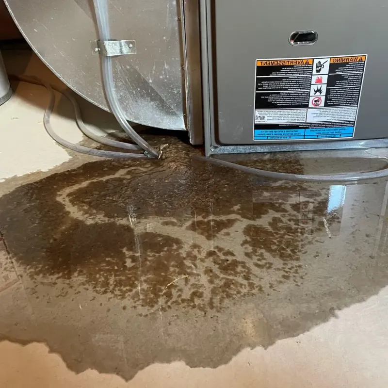 Pipe Burst and Leak Restoration in Wintersville, OH