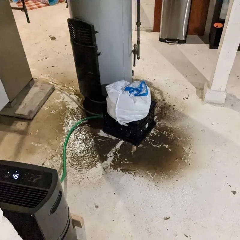 Sewage Backup Cleanup Service in Wintersville, OH